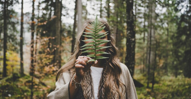 Come Back to Life image